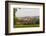 England, Oxfordshire, Oxford, City Skyline-Steve Vidler-Framed Photographic Print