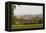 England, Oxfordshire, Oxford, City Skyline-Steve Vidler-Framed Premier Image Canvas