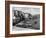 England, Salcombe-Fred Musto-Framed Photographic Print