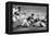 England Scoring a Try Against Scotland, Twickenham, London, 1926-1927-null-Framed Premier Image Canvas