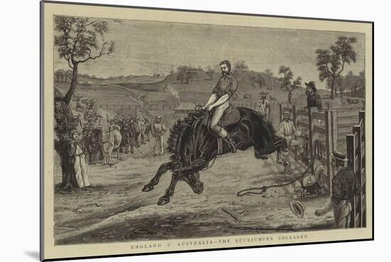 England V Australia, the Buckjumper Collared-null-Mounted Giclee Print