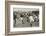 England Versus Ireland at Richmond-H. Burgess-Framed Photographic Print