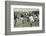 England Versus Ireland at Richmond-H. Burgess-Framed Photographic Print