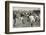 England Versus Ireland at Richmond-H. Burgess-Framed Photographic Print