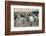 England Versus Ireland at Richmond-H. Burgess-Framed Photographic Print