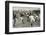 England Versus Ireland at Richmond-H. Burgess-Framed Photographic Print