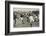 England Versus Ireland at Richmond-H. Burgess-Framed Photographic Print