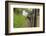 England, West Yorkshire. Keighley and Worth Valley Railway, steam trains, 5-miles up Worth Valley t-Emily Wilson-Framed Photographic Print