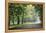 Englischer Garten in Munich-Stefano Amantini-Framed Premier Image Canvas