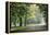 Englischer Garten in Munich-Stefano Amantini-Framed Premier Image Canvas