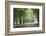 Englischer Garten in Munich-Stefano Amantini-Framed Photographic Print