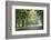 Englischer Garten in Munich-Stefano Amantini-Framed Photographic Print