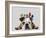 English Bulldog and Birds-Fab Funky-Framed Art Print