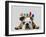 English Bulldog and Birds-Fab Funky-Framed Art Print