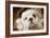 English Bulldog Close-Up of Face-null-Framed Photographic Print