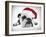 English Bulldog Lying in Studio Wearing a Christmas Hat-null-Framed Photographic Print