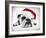 English Bulldog Lying in Studio Wearing a Christmas Hat-null-Framed Photographic Print