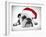 English Bulldog Lying in Studio Wearing a Christmas Hat-null-Framed Photographic Print