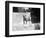 English Bulldog Portrait, Ca. 1930-null-Framed Photographic Print