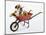 English Bulldog Puppy in a Wheelbarrow-Peter M. Fisher-Mounted Photographic Print