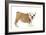 English Bulldog Puppy in Studio-null-Framed Photographic Print