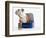 English Bulldog Puppy Sitting in a Lunch Box-Peter M. Fisher-Framed Photographic Print