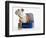 English Bulldog Puppy Sitting in a Lunch Box-Peter M. Fisher-Framed Photographic Print