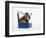 English Bulldog Puppy Sitting in a Lunch Box-Peter M. Fisher-Framed Photographic Print