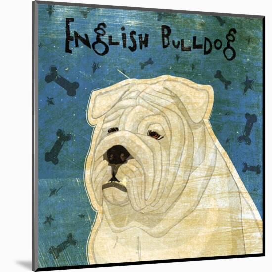 English Bulldog (square)-John W^ Golden-Mounted Art Print