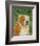 English Bulldog (tan and white)-John W^ Golden-Framed Art Print