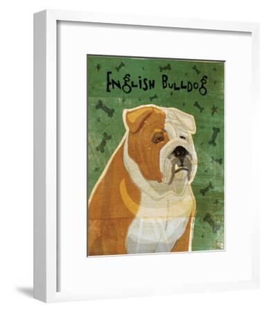 english bulldog tan and white