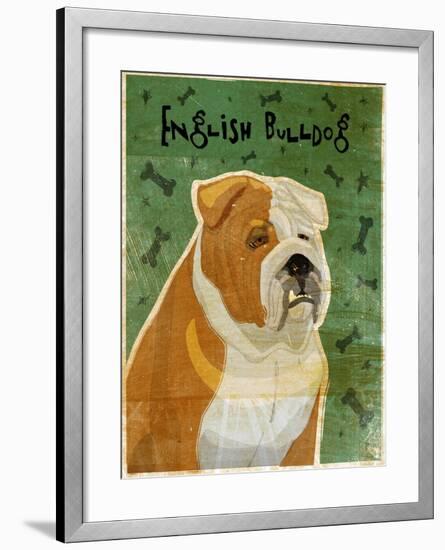 English Bulldog Tan and White-John W Golden-Framed Giclee Print