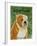 English Bulldog Tan and White-John W Golden-Framed Giclee Print