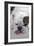 English Bulldog Tired, Lying Down with Tongue Sticking Out-null-Framed Photographic Print