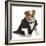 English Bulldog Wearing Black Tuxedo And Tails On White Background-Willee Cole-Framed Photographic Print