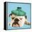 English Bulldog with Ice Pack-null-Framed Premier Image Canvas