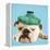 English Bulldog with Ice Pack-null-Framed Premier Image Canvas