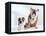 English Bulldog with Puppy-Larry Williams-Framed Premier Image Canvas