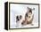 English Bulldog with Puppy-Larry Williams-Framed Premier Image Canvas