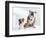 English Bulldog with Puppy-Larry Williams-Framed Photographic Print