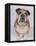 English Bulldog-null-Framed Premier Image Canvas