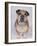 English Bulldog-null-Framed Photographic Print