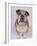 English Bulldog-null-Framed Photographic Print