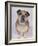 English Bulldog-null-Framed Photographic Print