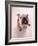 English bulldog-null-Framed Photographic Print