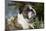 English Bulldog-Lynn M^ Stone-Mounted Photographic Print