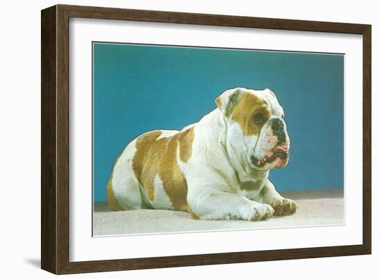 English Bulldog-null-Framed Art Print