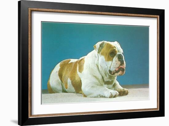 English Bulldog-null-Framed Art Print