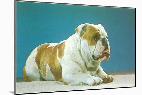 English Bulldog-null-Mounted Art Print