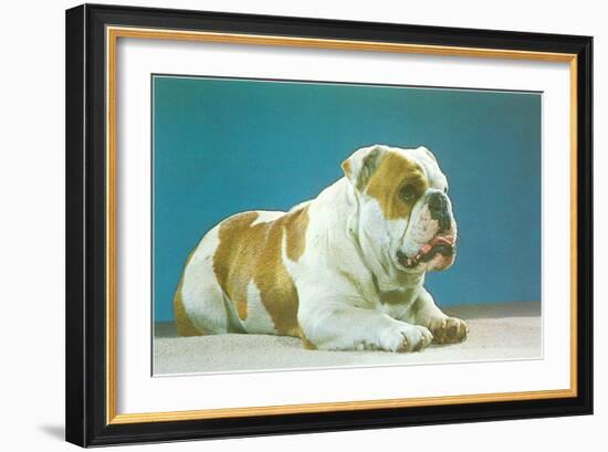 English Bulldog-null-Framed Art Print
